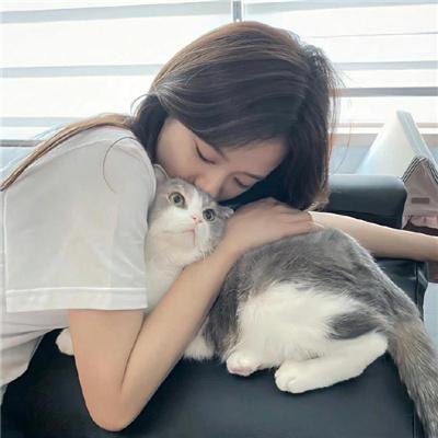 八达城英雄传
